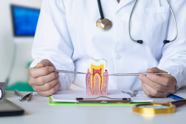 Best After-Hours Dental Trauma Care in Dakota City, NE